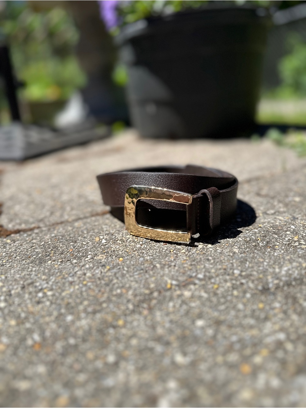 Izette Dark Brown Genuine Leather Belt with Gold Buckle - Made in Canada- Size M